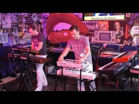 Die Synthporn Brothers